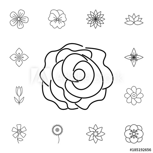500x500 Abstract Type Of Carnation Flowers Line Icon Set Of Beautiful - Simple Carnation Drawing