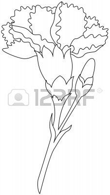 226x400 Carnation Outline D Floralsimple Design Ideas - Simple Carnation Drawing