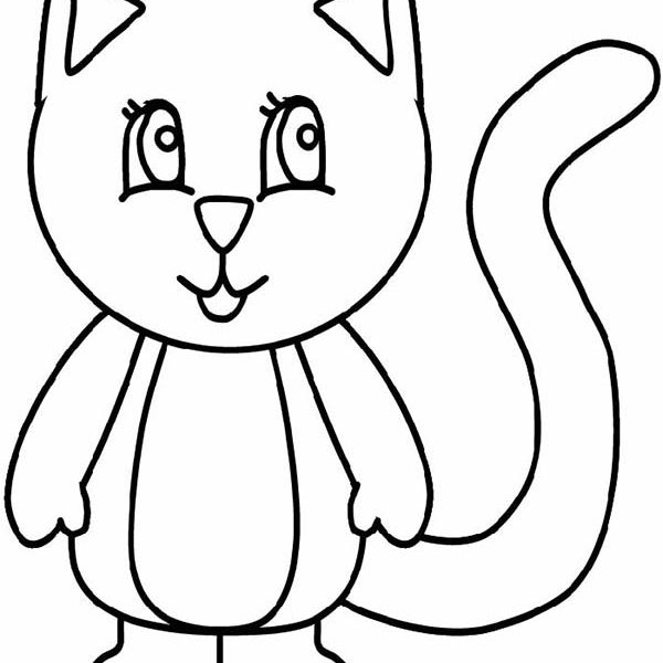600x600 How To Draw A Simple Cat For Kids Cat Drawing For Kids - Simple Cat Drawing For Kids