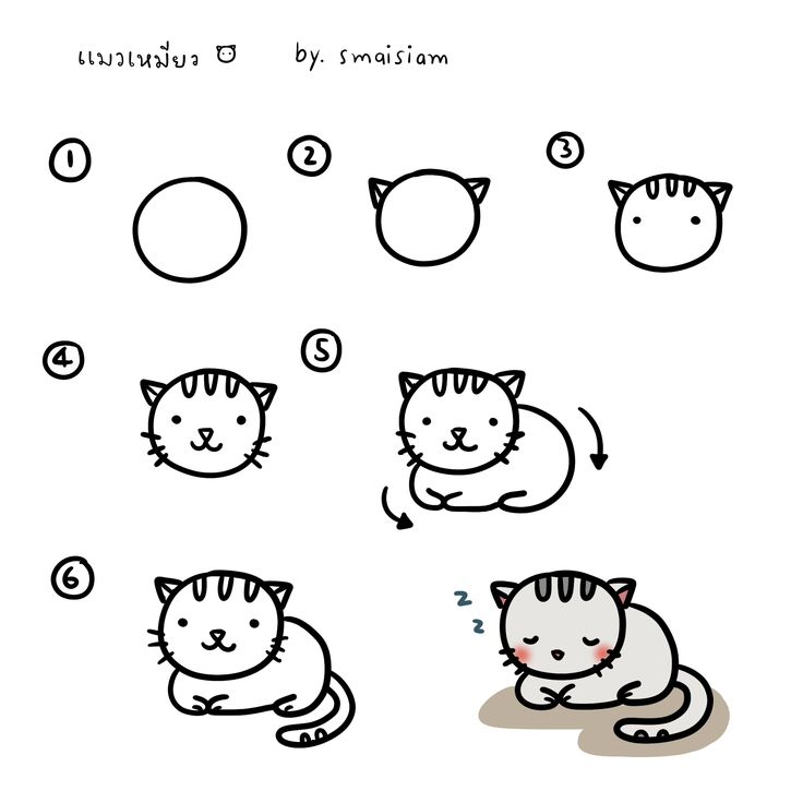 736x736  - Simple Cat Drawing For Kids