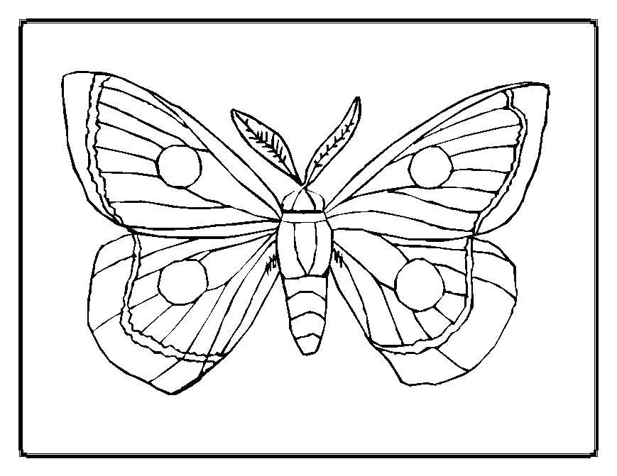 869x671 Coloring Pages Halloween Cat Disney For Adults To Print Monarch - Simple Caterpillar Drawing