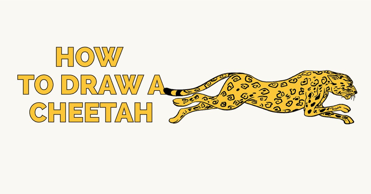 1200x628 how to draw a cheetah in a few easy steps easy drawing guides - Simple Cheetah Drawing