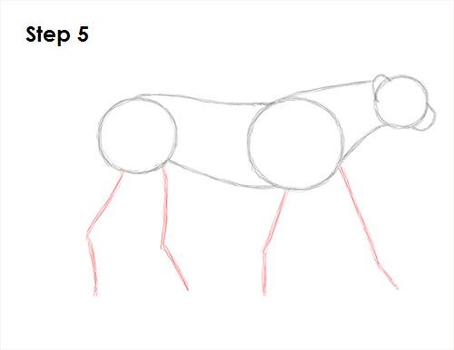 500x386 how to draw a cheetah - Simple Cheetah Drawing