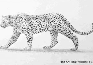 300x210 A Jaguar Animal Youtuberhyoutubecom How Simple Leopard Drawing - Simple Cheetah Drawing