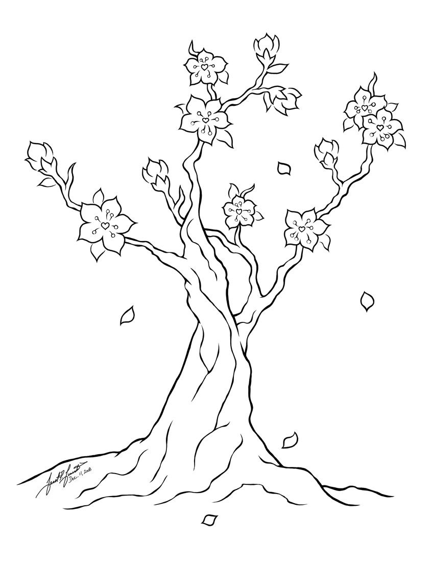 850x1100 Awesome Lineart Simple Cherry Blossom Line For Free Download - Simple Cherry Blossom Drawing