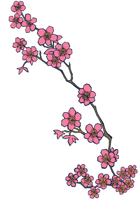 482x700 Nice Cherry Blossom Tree Branch Tattoo Drawing - Simple Cherry Blossom Drawing