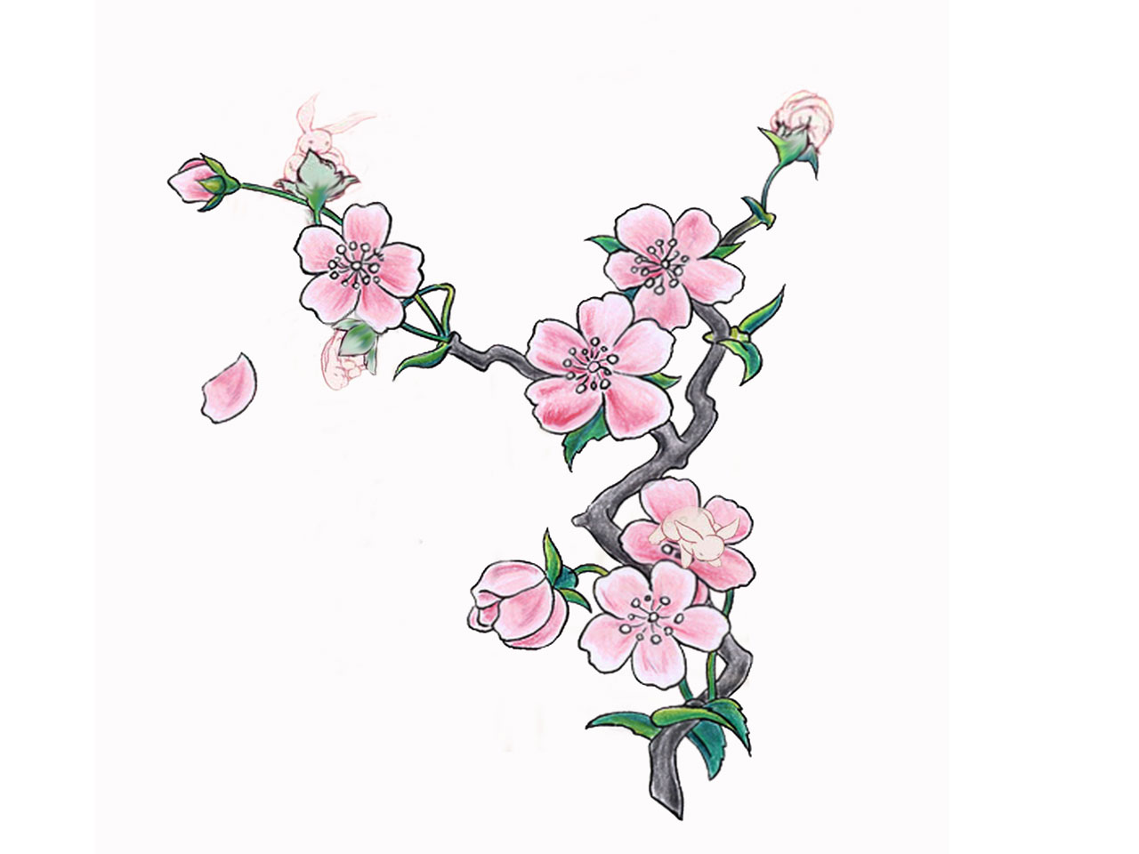 1280x960 Simple Cherry Blossom Tattoo Stencil - Simple Cherry Blossom Drawing