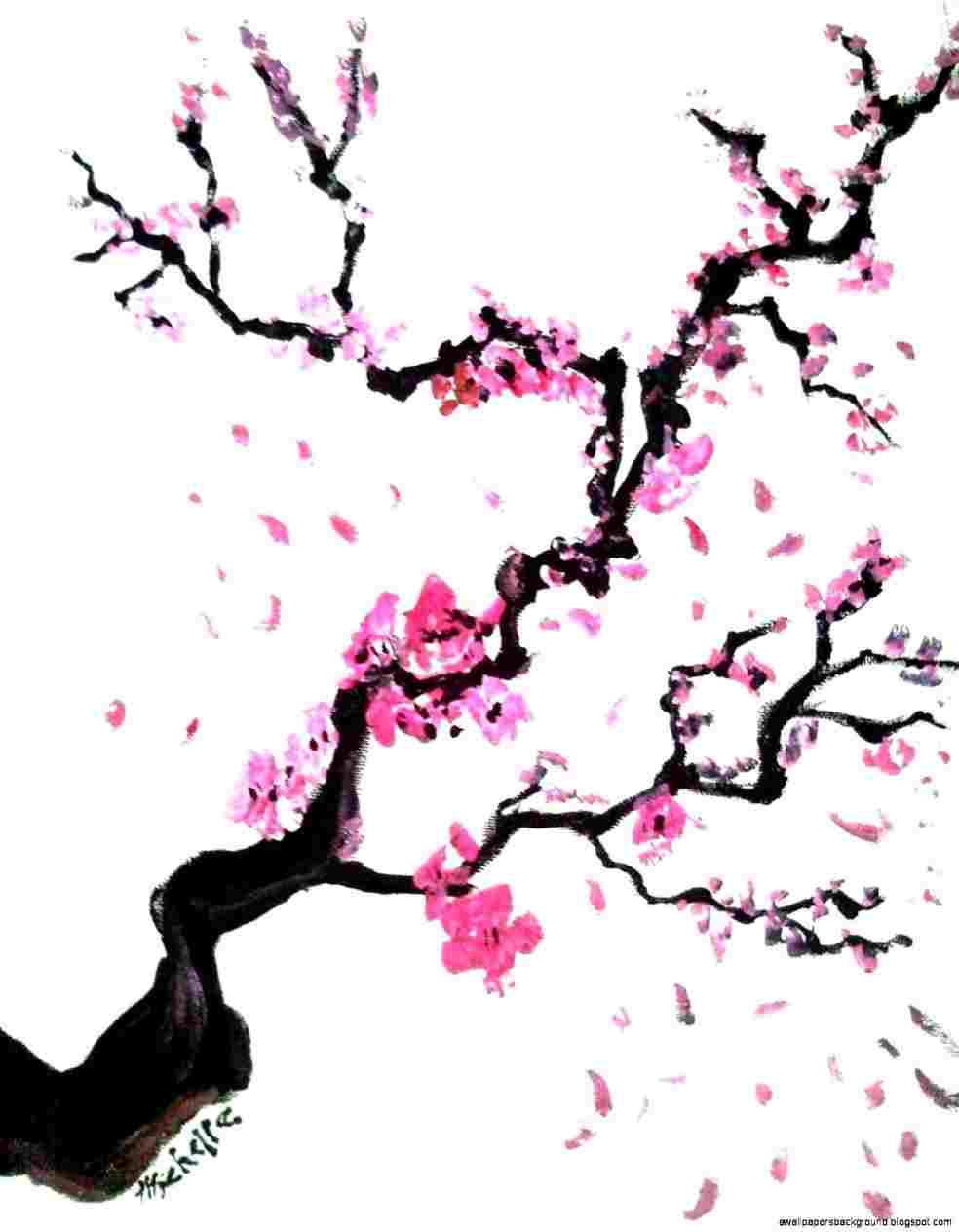 984x1264 white blossoms rhcom drawing - Simple Cherry Blossom Drawing