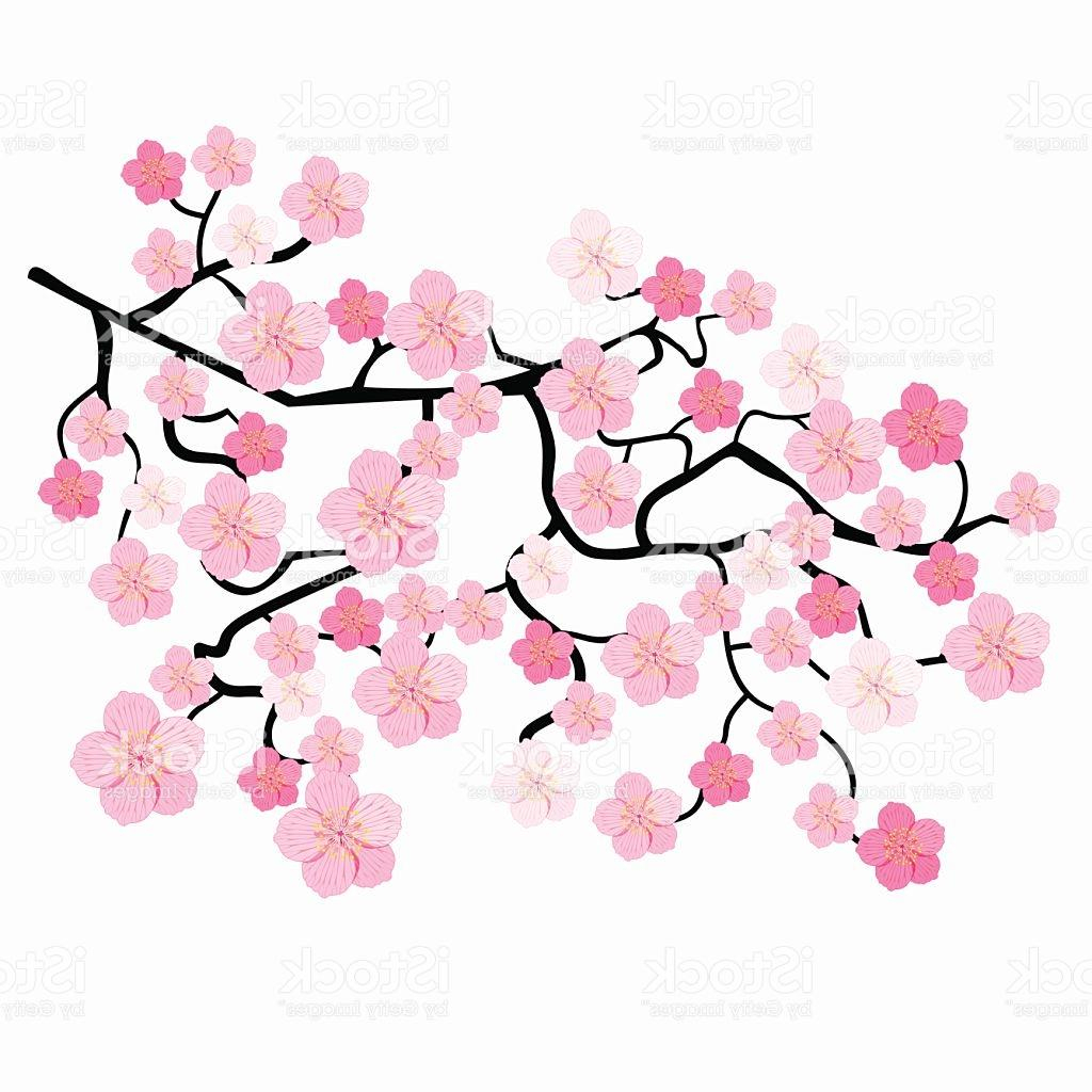 Japanese Tree Drawing Easy Easy Cherry Blossom Drawing Tree