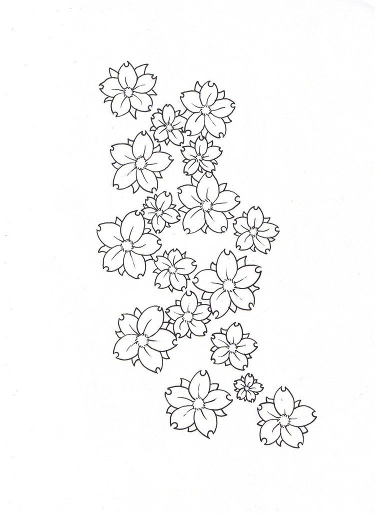 Cherry Blossom Tattoo Outline - Simple Cherry Blossom Drawing. 
