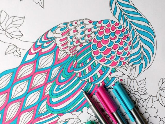 640x480 simple colorful peacock drawing - Simple Colorful Peacock Drawing