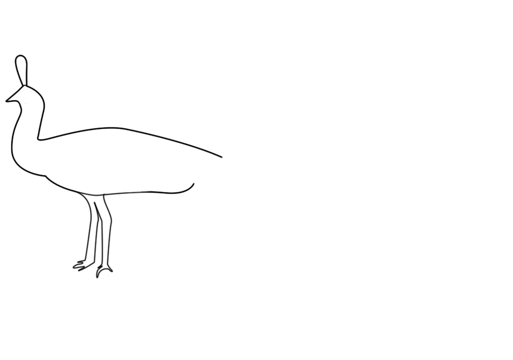 1024x720 The Beautiful Peacock - Simple Colorful Peacock Drawing