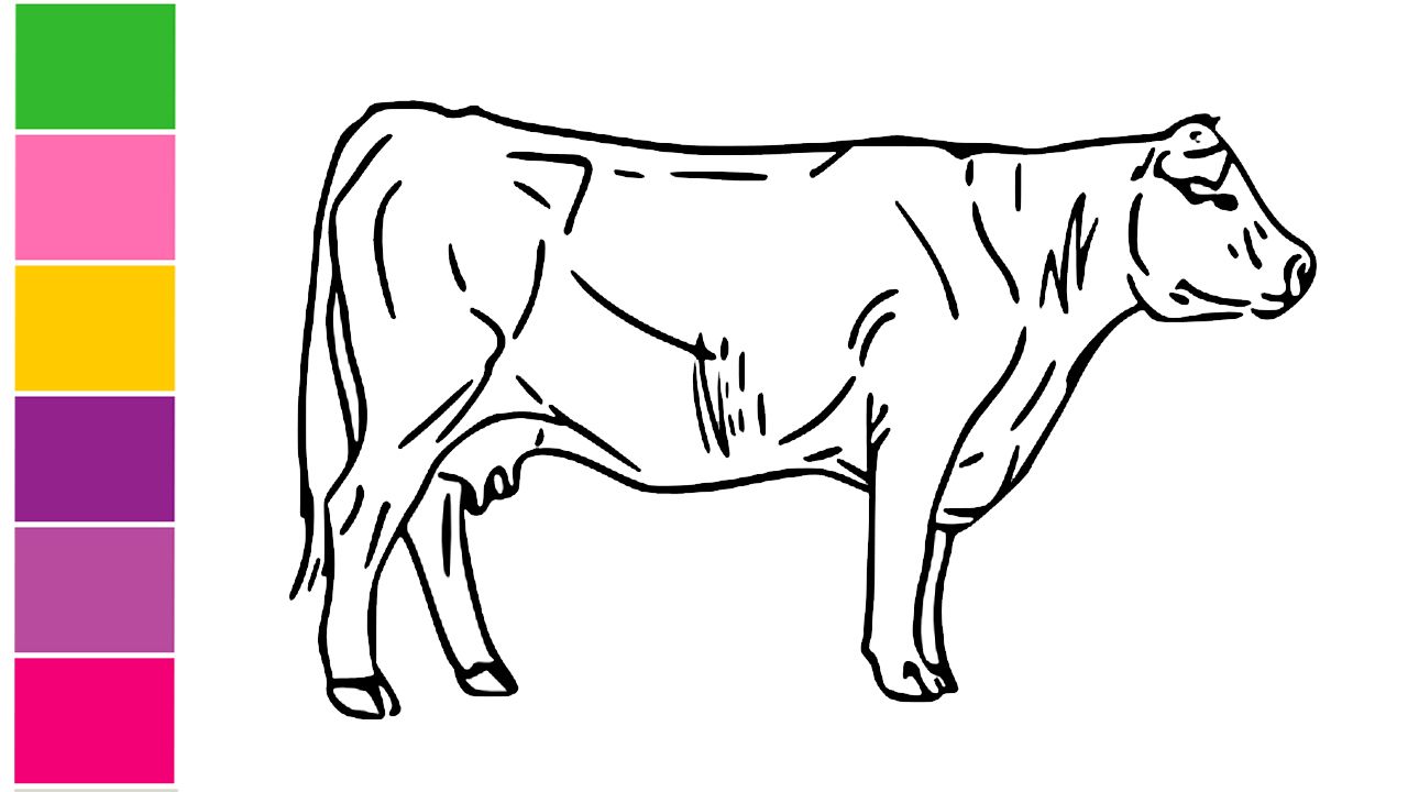 1280x720 Simple Cow Head Drawing Pencil Step - Simple Cow Drawing