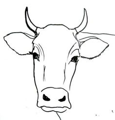236x246 Step - Simple Cow Drawing