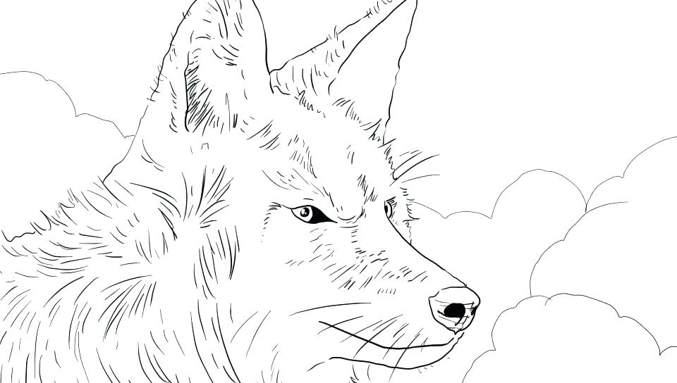 960x544 Simple Coyote Drawing At Com Free For Personal Us On Coloring - Simple Coyote Drawing