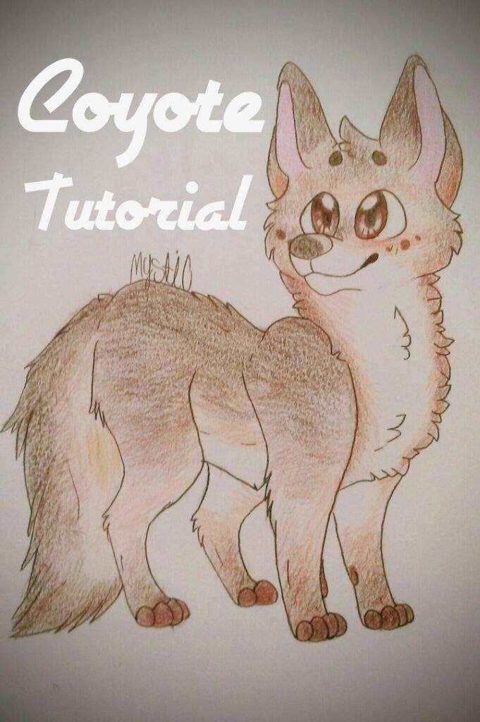 Simple Coyote Drawing at Explore collection of