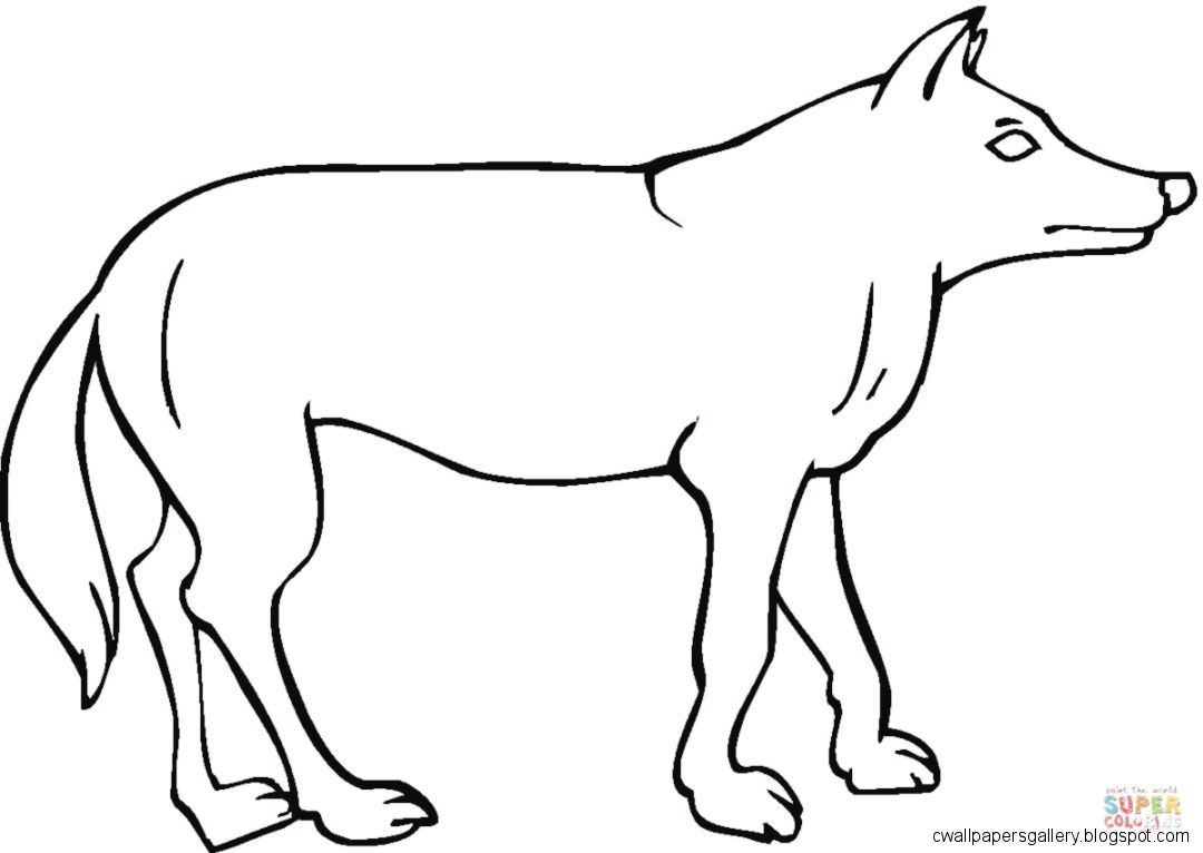 1080x766 Coyote Drawing Kids - Simple Coyote Drawing
