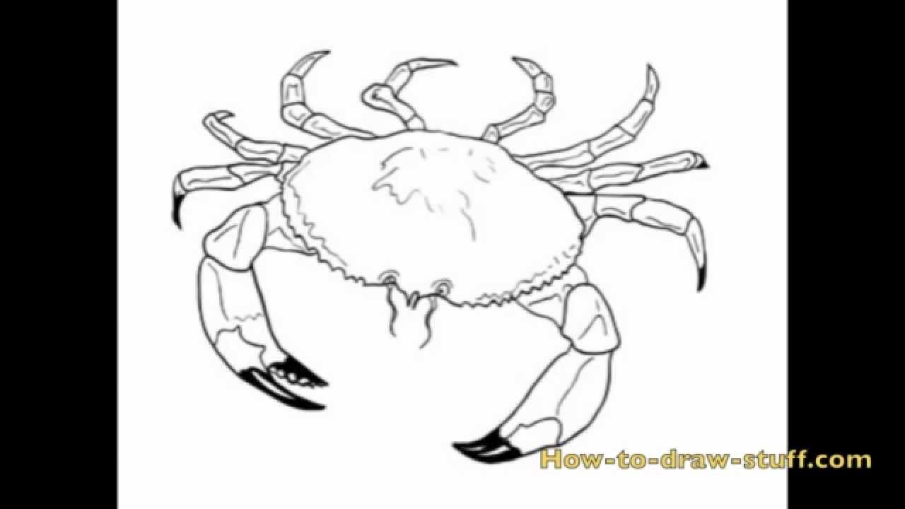 1280x720 how to draw a crab step - Simple Crab Drawing