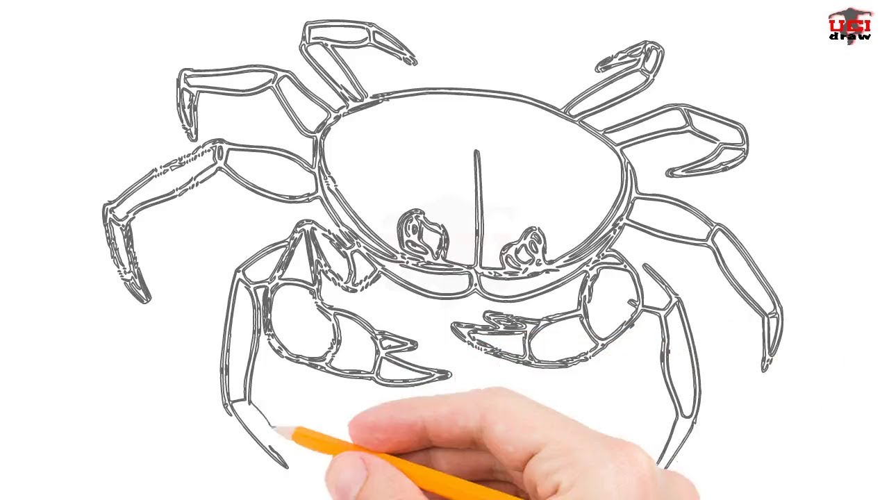 1280x720 How To Draw A Crab Step - Simple Crab Drawing