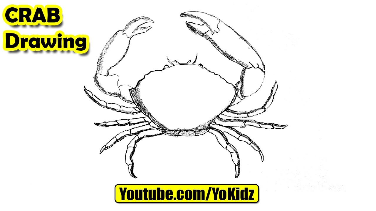 1280x720 How To Draw A Crab - Simple Crab Drawing