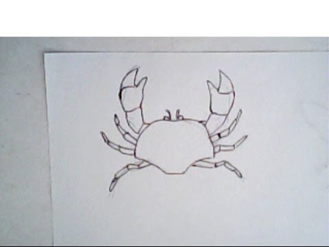 480x360 How To Draw A Crab - Simple Crab Drawing