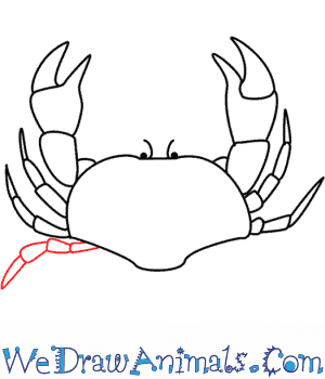 300x350 how to draw a crab - Simple Crab Drawing