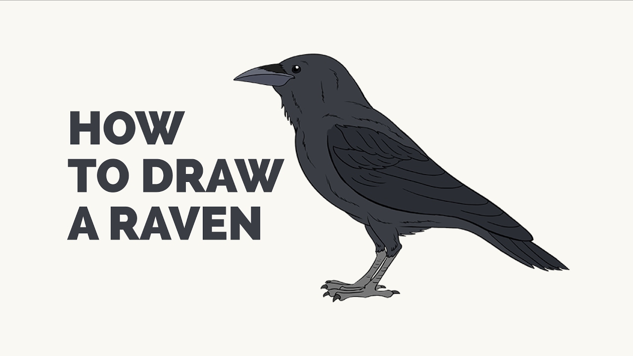 1280x720 How To Draw A Raven - Simple Crow Drawing