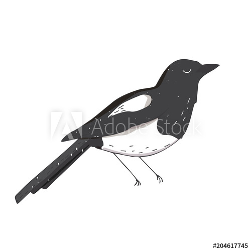500x500 magpie crow illustration vector bird color texture element black - Simple Crow Drawing