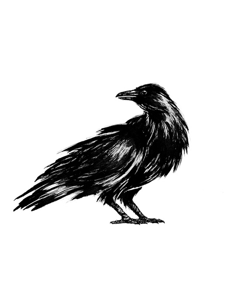 750x1000 simple crow t shirt - Simple Crow Drawing