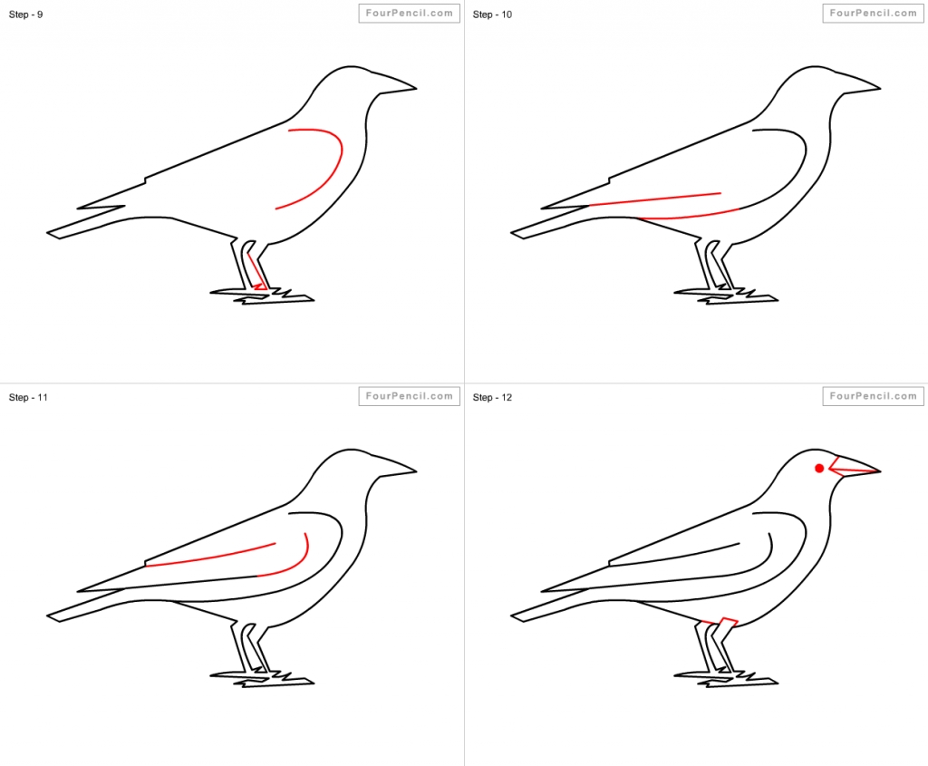 How To Draw A Crow Step By Step