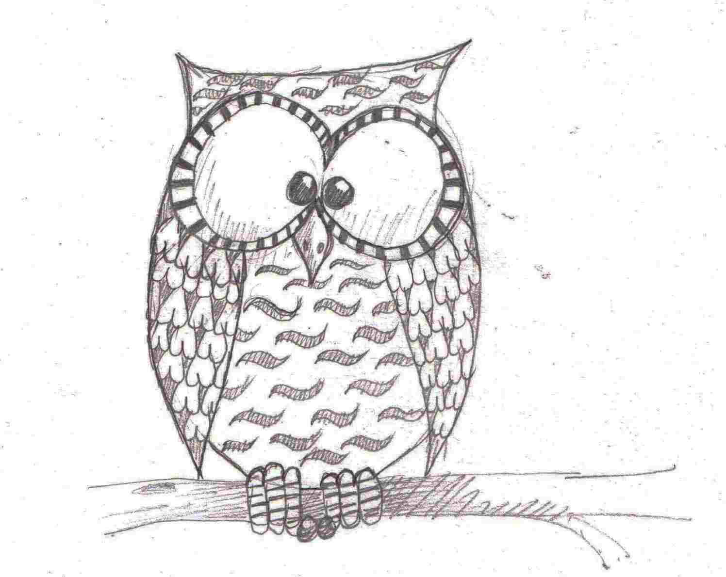 1496x1190 Drawings And Rhcom I Simple Cute Owl Drawing - Simple Cute Owl Drawing