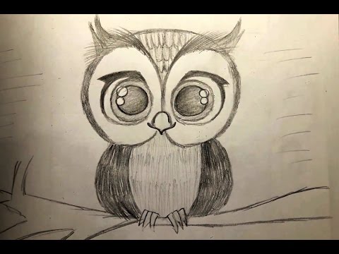 480x360 Diy How To Draw Cute Owl - Simple Cute Owl Drawing