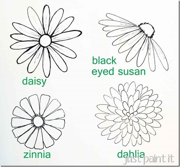 Simple Daisy Drawing at PaintingValley.com | Explore collection of ...