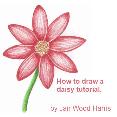 Simple Daisy Drawing at PaintingValley.com | Explore collection of ...