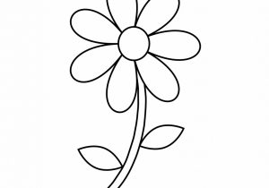 Simple Daisy Drawing at PaintingValley.com | Explore collection of ...