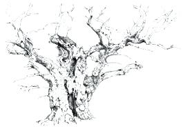 265x190 How To Draw Realistic Trees Plants Bushes And Rocks - Simple Dead Tree Drawing