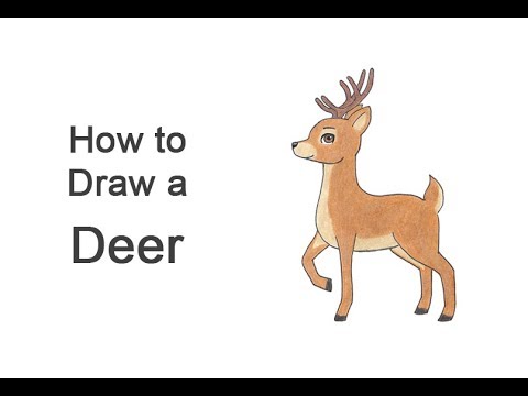 480x360 How To Draw A Deer - Simple Deer Drawing