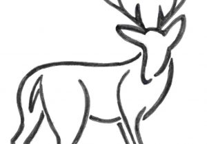 300x210 Kids Coloring Simple Lines Drawing Rhcom Pages - Simple Deer Drawing