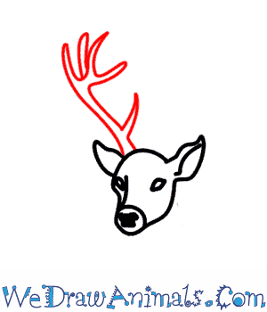 300x350 How To Draw A Deer - Simple Deer Head Drawing