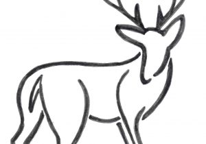 300x210 Deer Head Drawing Simple Archives - Simple Deer Head Drawing
