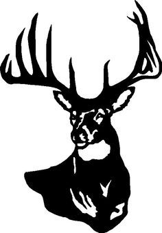 236x338 Simple Deer Skull Drawing - Simple Deer Head Drawing