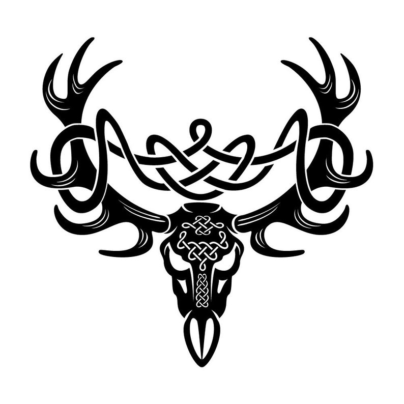 794x794 Celtic Knot Deer Skull Vinyl Indoor Outdoor Decal Etsy - Simple Deer Skull Drawing