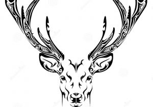 300x210 simple deer head drawing how to draw deer head stepstep very - Simple Deer Skull Drawing
