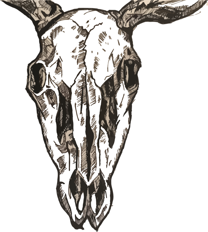 717x800 Skull Series - Simple Deer Skull Drawing