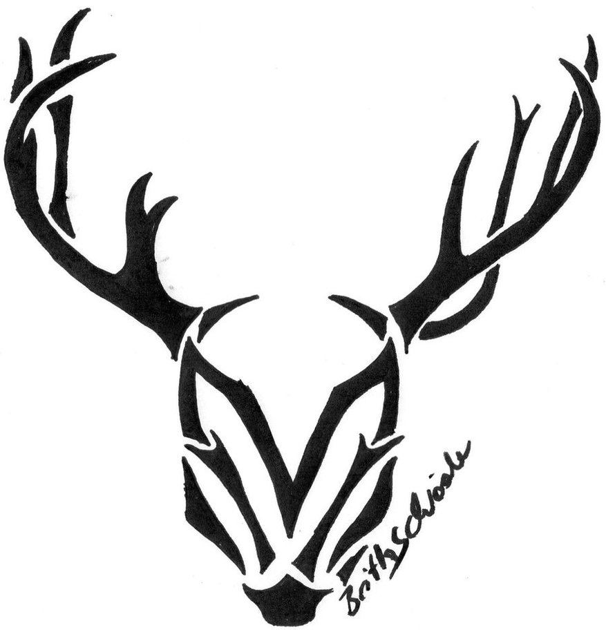 877x912 Whitetail Deer Skull Drawing - Simple Deer Skull Drawing
