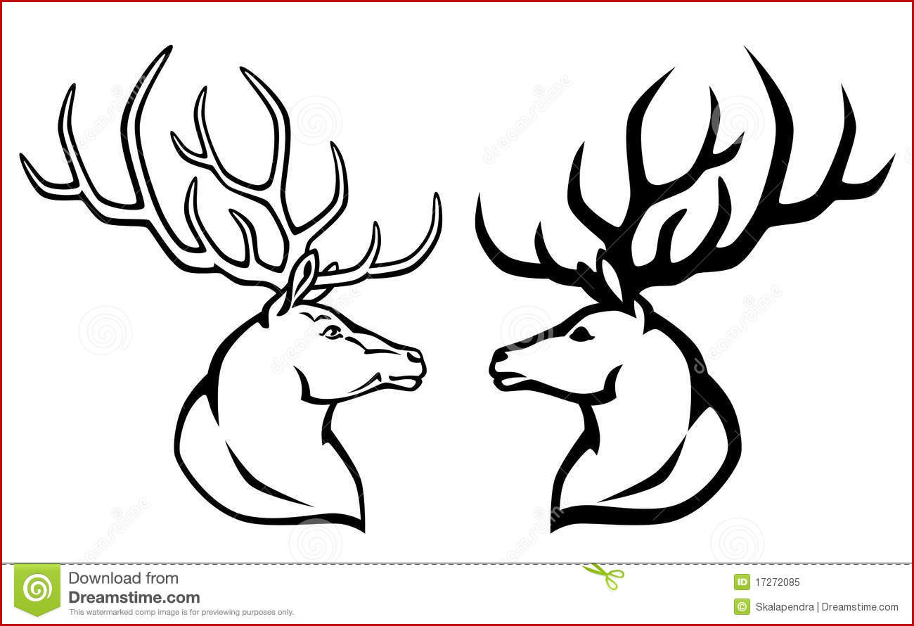 1300x890 Buck Whitetail Deer Simple Skull Clipart - Simple Deer Skull Drawing