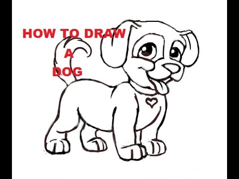 480x360 How To Draw A Dog Step - Simple Dog Drawing For Kids