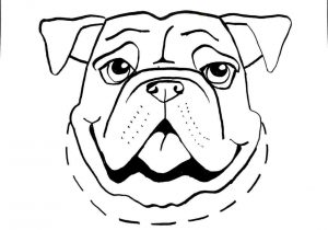 300x210 Simple Dog Face Drawing - Simple Dog Face Drawing