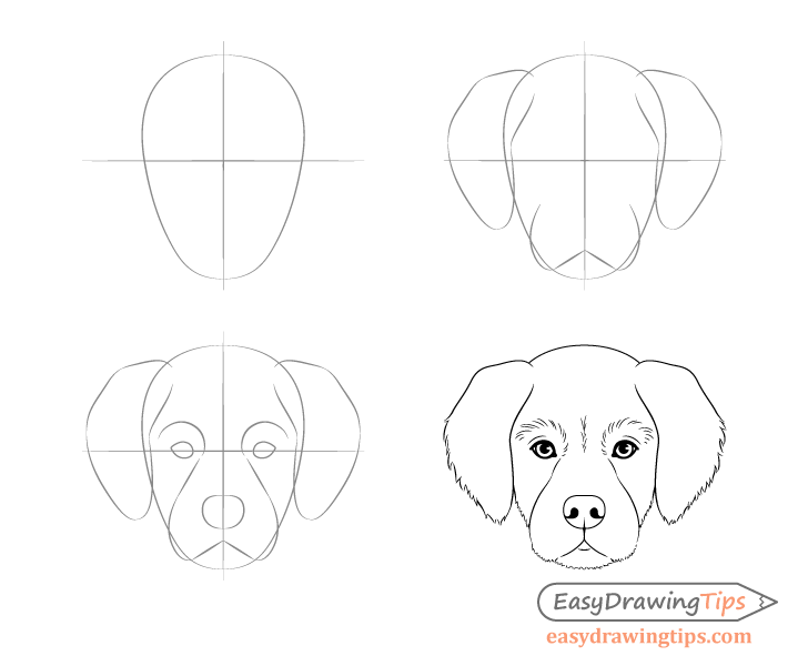 How To Draw A Realistic Dog Step By Step 15 Basic Drawing Techniques