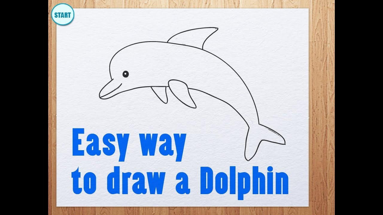 1280x720 Easy Way To Draw A Dolphin - Simple Dolphin Drawing